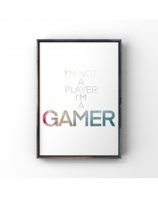 Plakat - Spil / Im a Gamer