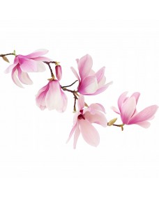 Wallsticker - Lyserød magnolia