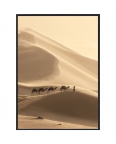 Plakat - Desert Camels / Fladpakket