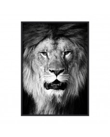 Plakat - B&W Lion / Fladpakket