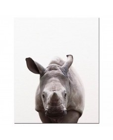 Plakat - Næsehorn