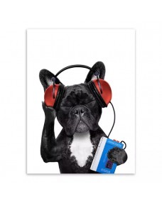 Plakat - Hund med hovedtelefoner