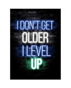 Plakat - I DON'T GET OLDER I LEVEL UP