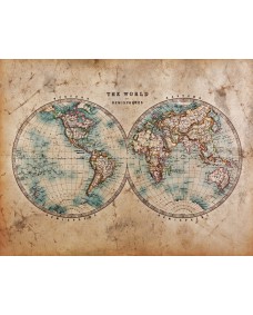 Plakat - Verdenskort / The World in Hemispheres 