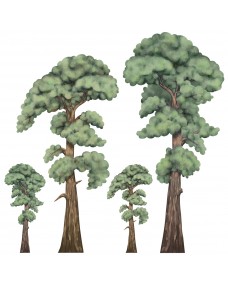 Wallsticker - Skov Træer