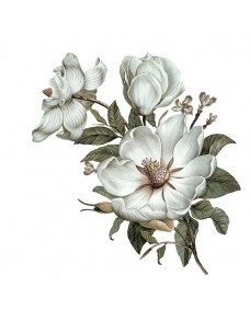 Wallsticker - Klassisk Magnolia / Højre