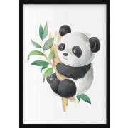 Plakat - Panda i træet