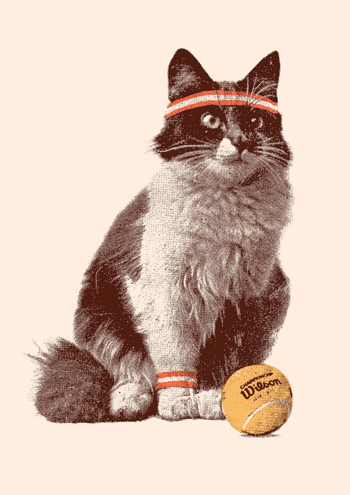 Plakat - Tennis Kat