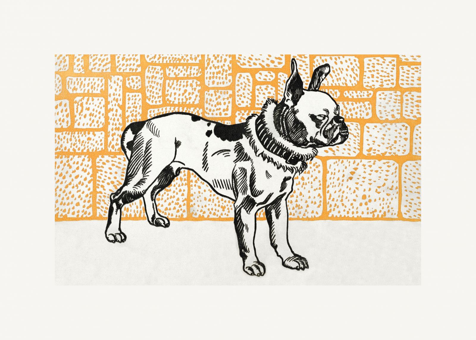 Plakat - Hund Illustration